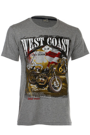Men's t-shirt with stylish print. Material: 100% cotton