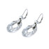 Earrings hanging from surgical steel clear circles