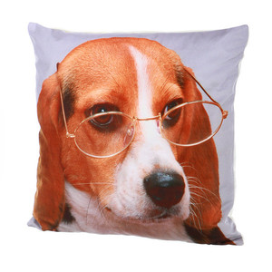 Nice pillow photo print of a dog in glasses Size: 45 × 45 cm Material: 100% polyester