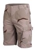 Army Shorts Desert