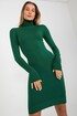 Dress with turtleneck and sleeves